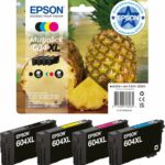 Pack 4 cartouches d'encre Epson 604XL XL - Noir, Cyan, Magenta, Jaune - Haute capacité