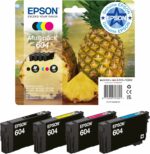 Cartouches d'encre Epson 604 Multipack 4 couleurs - Original - 800 pages - WF-2950DWF