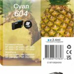 Cartouche d'encre jet d'encre Epson 604 Ananas cyan - Compatible imprimantes XP/WF